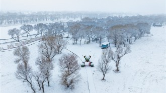 呼和浩特：春雪绘仙境